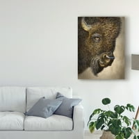 Zaštitni znak likovna umjetnost 'bison totem' platna umjetnost Patricka Lamontagne
