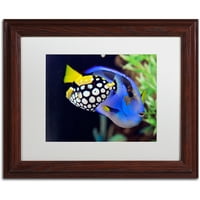 Zaštitni znak likovna umjetnost Šarena tropska riba platna umjetnost Kurt Shaffer, bijela mat, drveni okvir