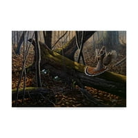 Zaštitni znak likovna umjetnost 'Thunder in the Woods' platno umjetnost Wilhelm Goebel